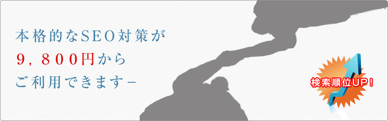 本格的なＳＥＯ対策が９，８００からご利用できます。